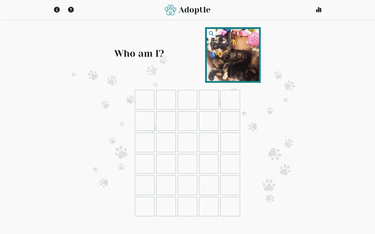 The Adoptle board: the question Who am I? beside a photo of the day's pet, a tortoiseshell cat, above an empty grid of six rows of five tiles