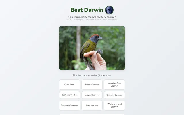Beat Darwin puzzle #207: a photo of a small olive bird with a rufous cap held in a hand, above nine sparrow, towhee and finch species to choose from