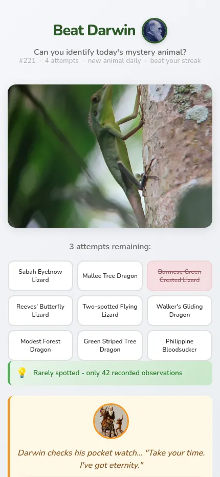 Beat Darwin on a phone after one wrong guess: the crossed-out choice, nine lizard species in a grid and a hint saying the animal is rarely spotted