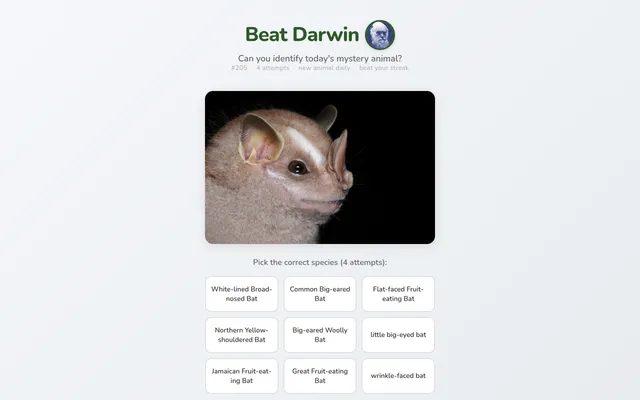 Beat Darwin puzzle #205: a photo of a bat above nine bat species to choose from
