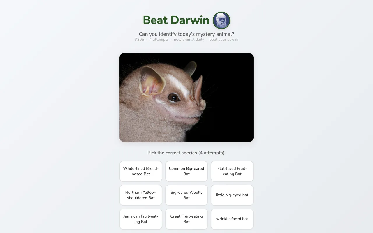 Beat Darwin puzzle #205: a photo of a bat above nine bat species to choose from