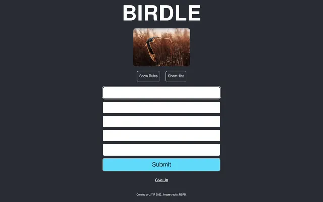 Birdle's daily board: a photo of an owl in flight over a reed bed above five empty guess rows, Show Rules and Show Hint buttons and a Submit button