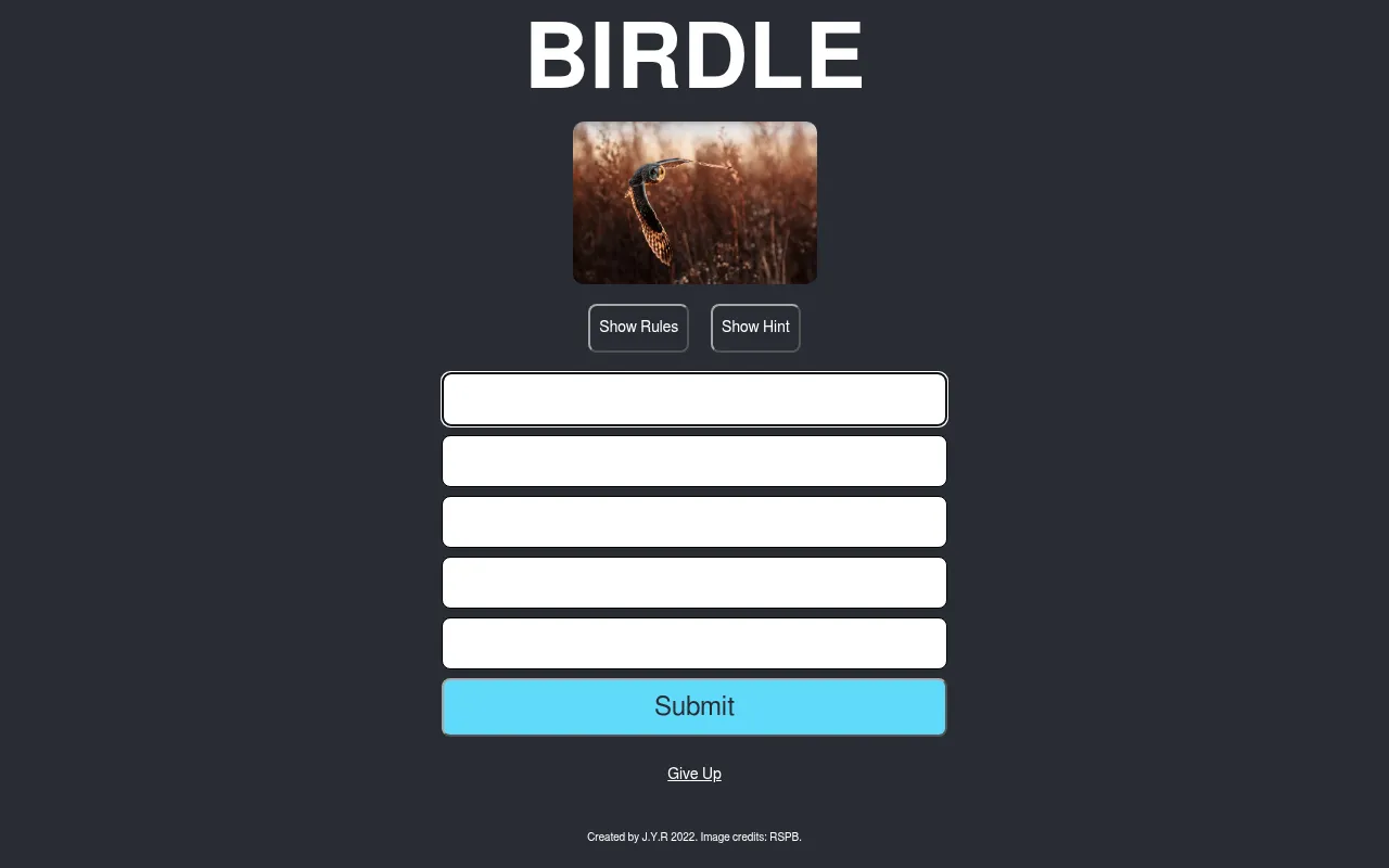 Birdle's daily board: a photo of an owl in flight over a reed bed above five empty guess rows, Show Rules and Show Hint buttons and a Submit button
