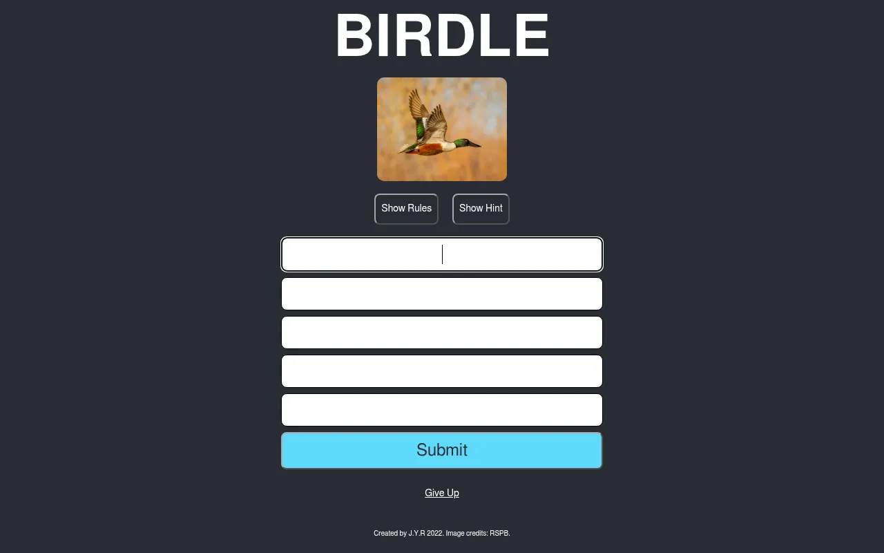 Birdle UK's board for 21 October 2026: a photo of a shoveler duck in flight above five empty guess rows, Show Rules and Show Hint buttons and a Submit button