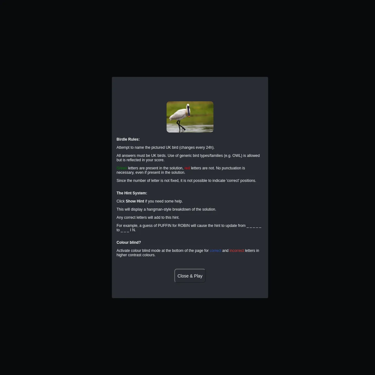 The Birdle rules panel on a dark background, with a photo of a spoonbill wading in water above the rules, the hint system explanation and a Close & Play button
