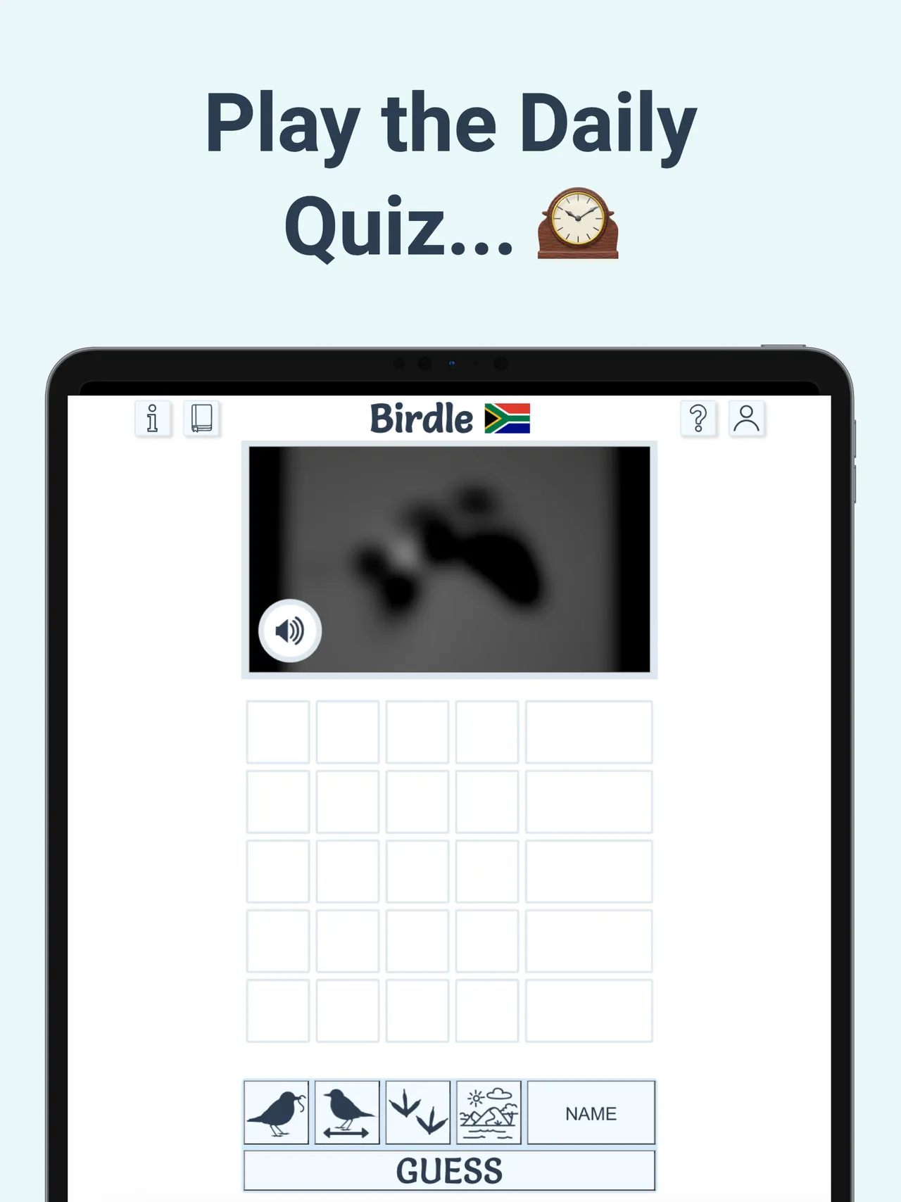 Birdle on iPad, a second screen of the game