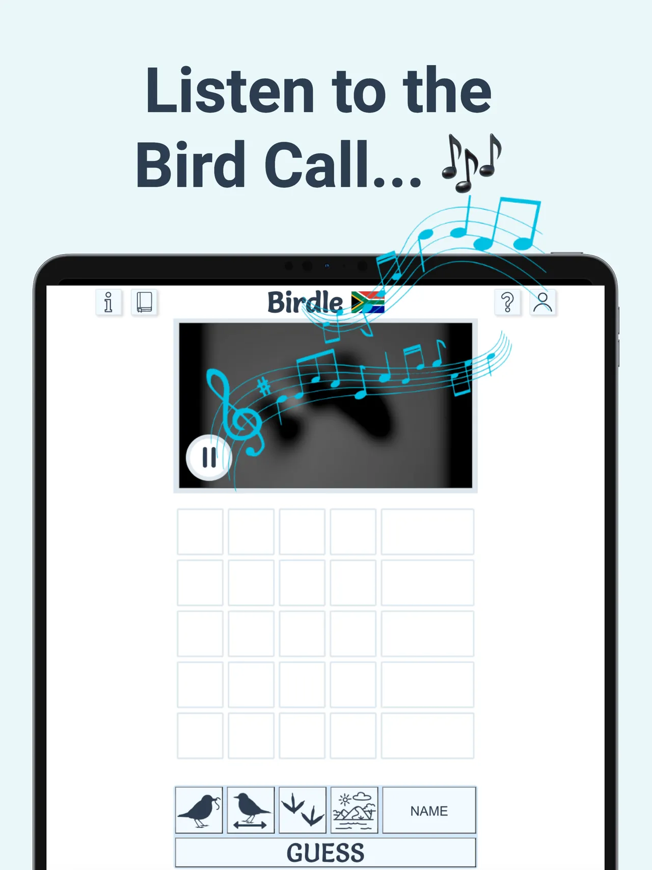 Birdle on iPad, a third screen of the game