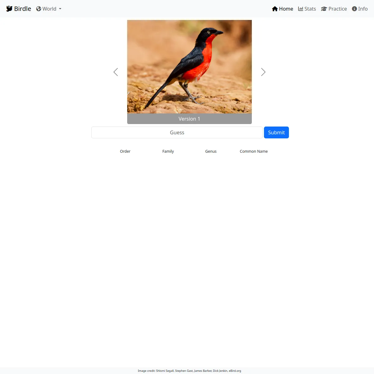 The Birdle board set to the World region, showing a photo carousel of a black and red bird, a guess box with a Submit button, and the four result columns labelled Order, Family, Genus and Common Name,