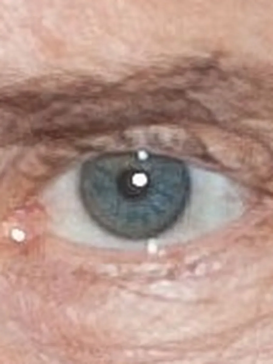 A Celebrity Eyes puzzle: a close crop of one famous person's eyes
