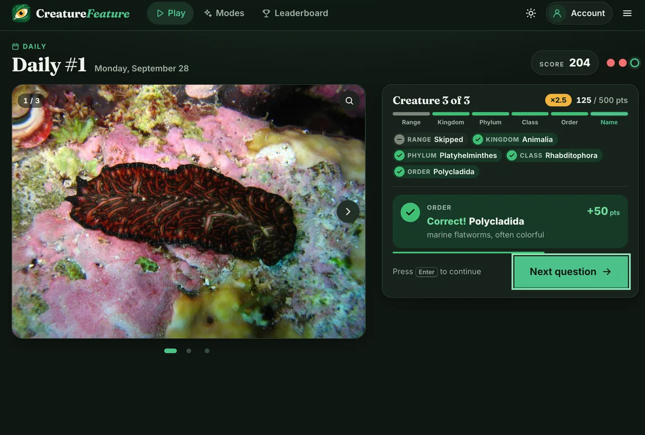 CreatureFeature Daily #1, Monday September 28: a red and black marine flatworm on a reef, with kingdom, phylum, class and order answered correctly