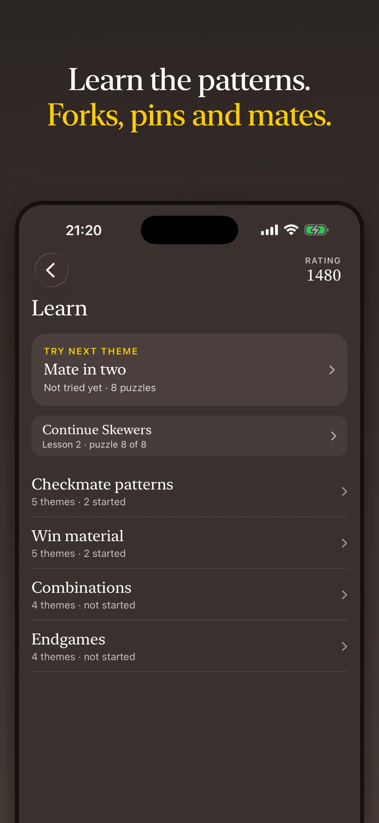 Daily Chess Puzzles store screenshot: the Learn screen listing tactics themes