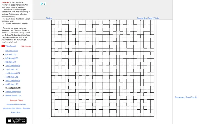 The Special Daily LITS on puzzle-lits.com: a 30x30 grid divided into many outlined regions, each to hold one tetromino