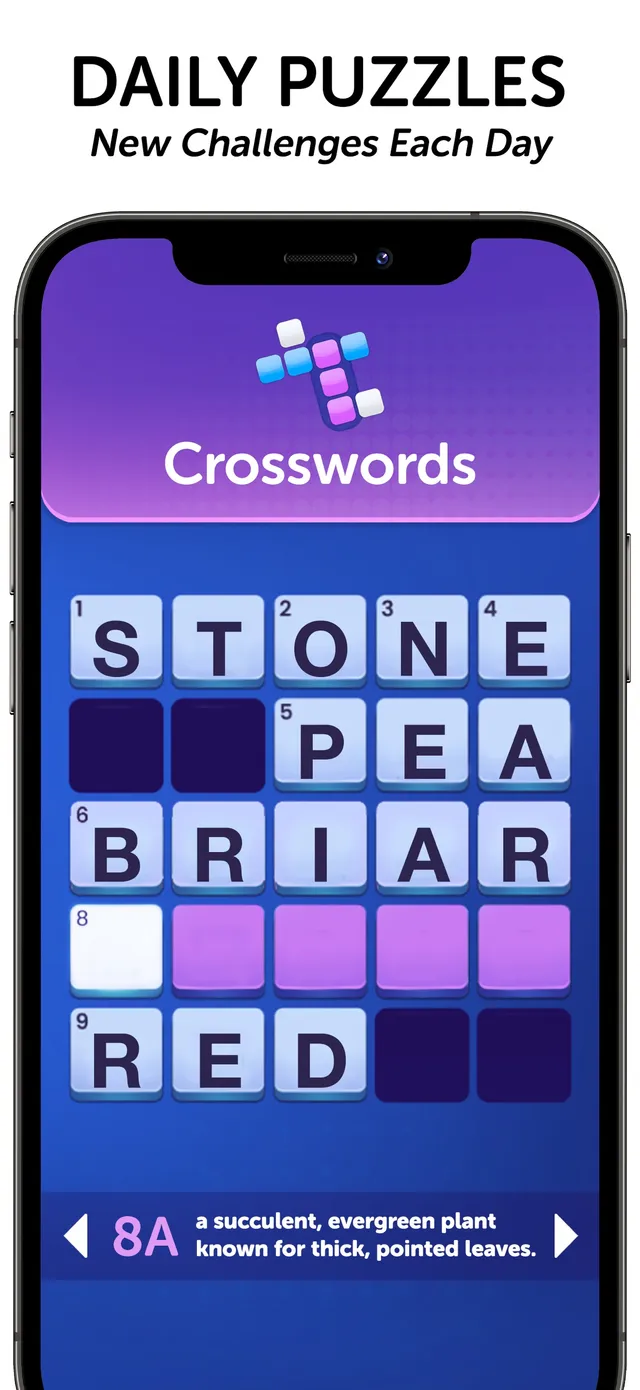 Daily Wordplay's Mini Crossword (App Store screenshot): a 5x5 grid with STONE, PEA, BRIAR and RED filled in and the clue 8A, a succulent evergreen plant known for thick, pointed leaves