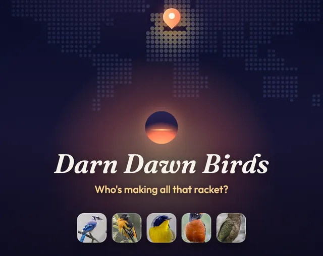 Darn Dawn Birds title art: a dotted world map with a pin, a sunrise icon and photos of five birds