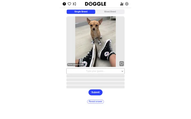 doggle Single Breed mode: a photo of a small tan dog in sneakers named Romeo, a Type your guess box, four empty guess rows, a Submit button and a Reveal answer link