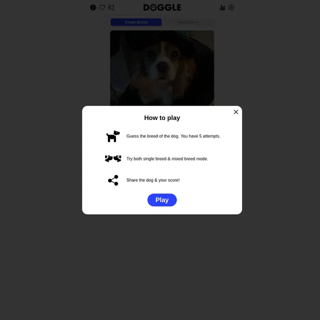 The DOGGLE page with Single Breed and Mixed Breed tabs, a photo of the days dog (a spaniel wearing a hat), and a how to play panel saying to guess the breed in five attempts, try both modes, and share