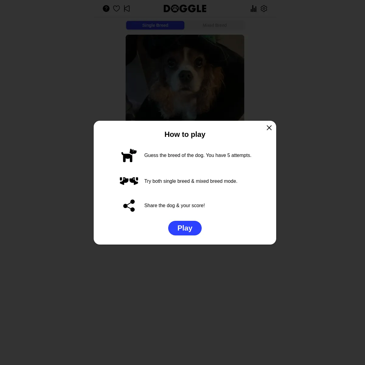 The DOGGLE page with Single Breed and Mixed Breed tabs, a photo of the days dog (a spaniel wearing a hat), and a how to play panel saying to guess the breed in five attempts, try both modes, and share