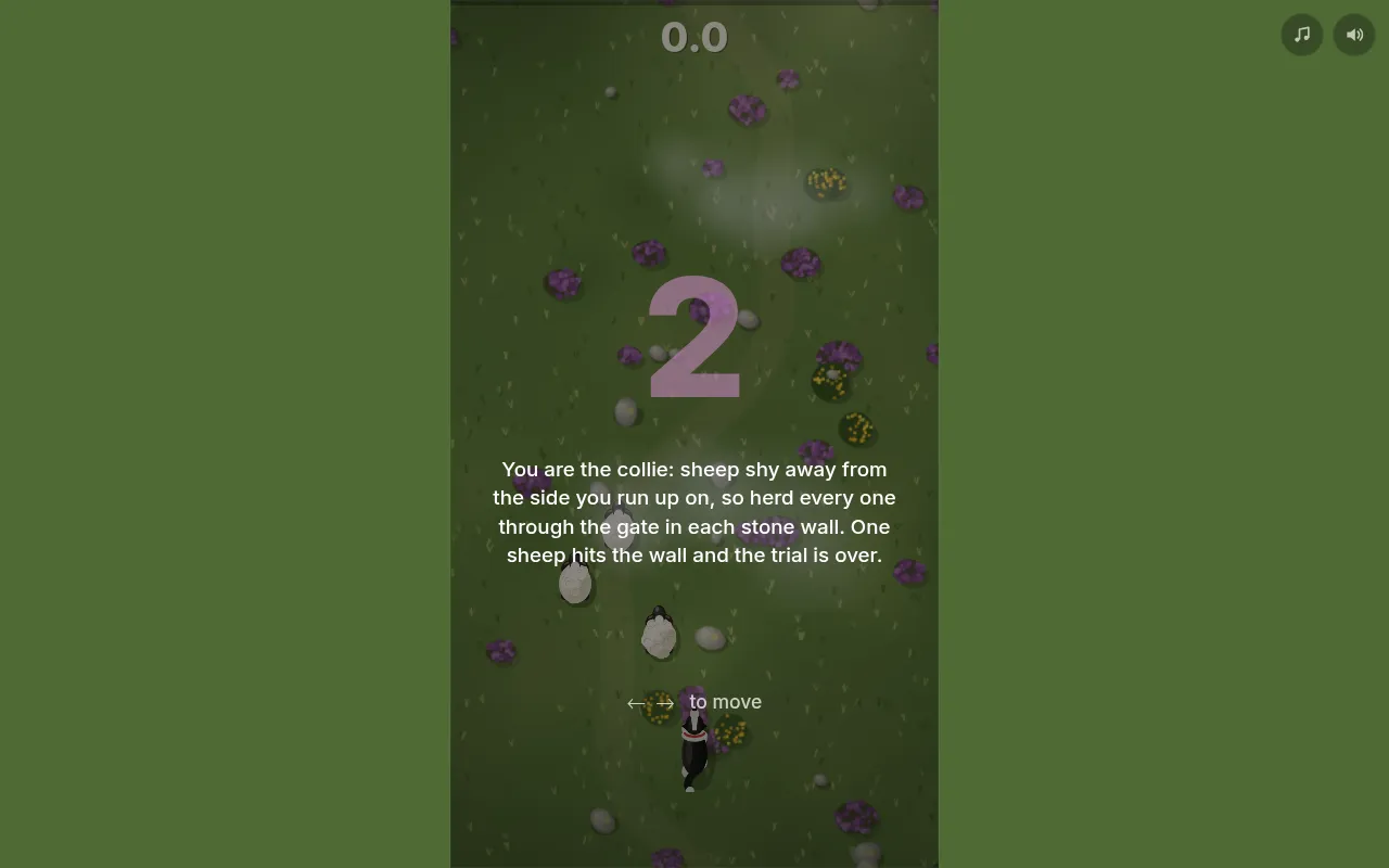 An ephemeral daily game starting: a collie behind sheep in a grassy field, a countdown, and the rule to herd every sheep through the gate in each stone wall