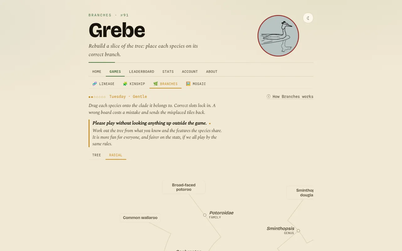 Grebe's Branches daily No. 91: a radial tree of marsupial clades with species such as the broad-faced potoroo to place