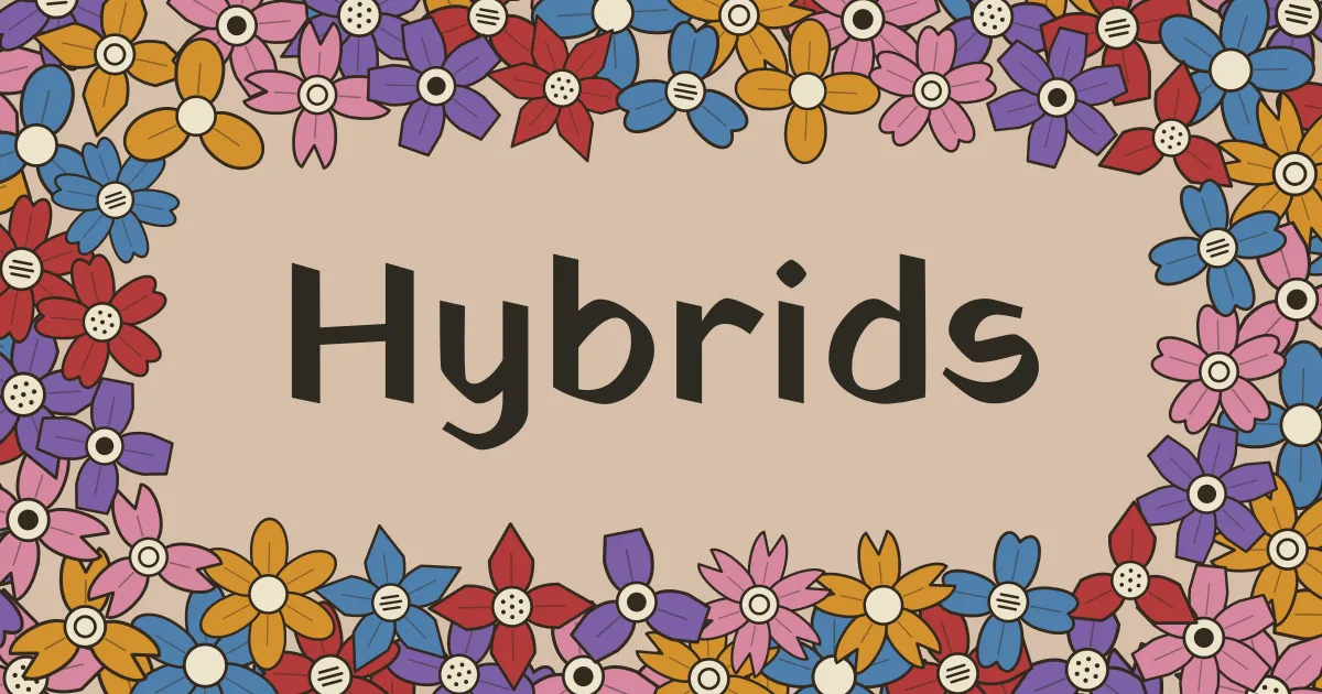 Hybrids title surrounded by flowers of different colours, shapes and centres