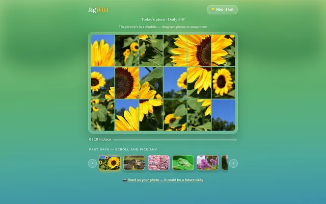 JigWild board for Daily #97: a sunflower photo cut into 18 muddled tiles, 0 of 18 in place, a hint button and a strip of past days below