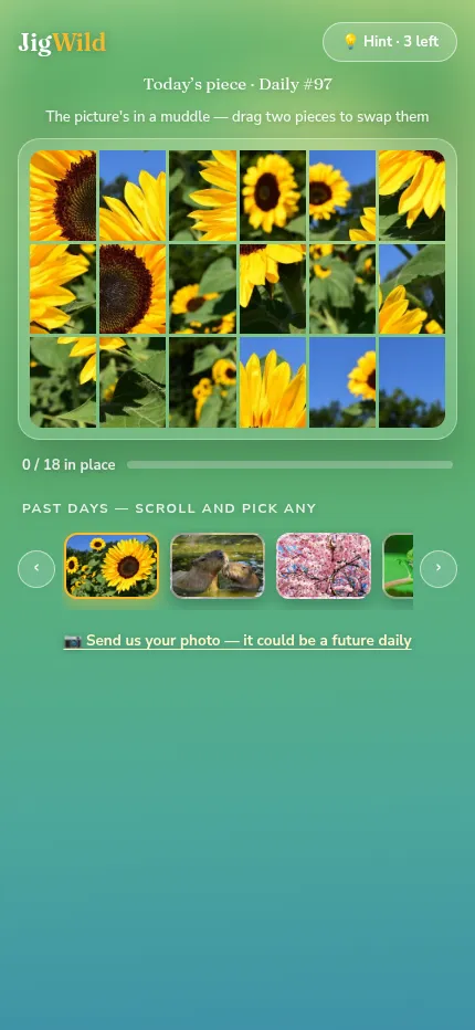 JigWild at phone size: the same 18-tile sunflower board, the in-place counter and the past days strip
