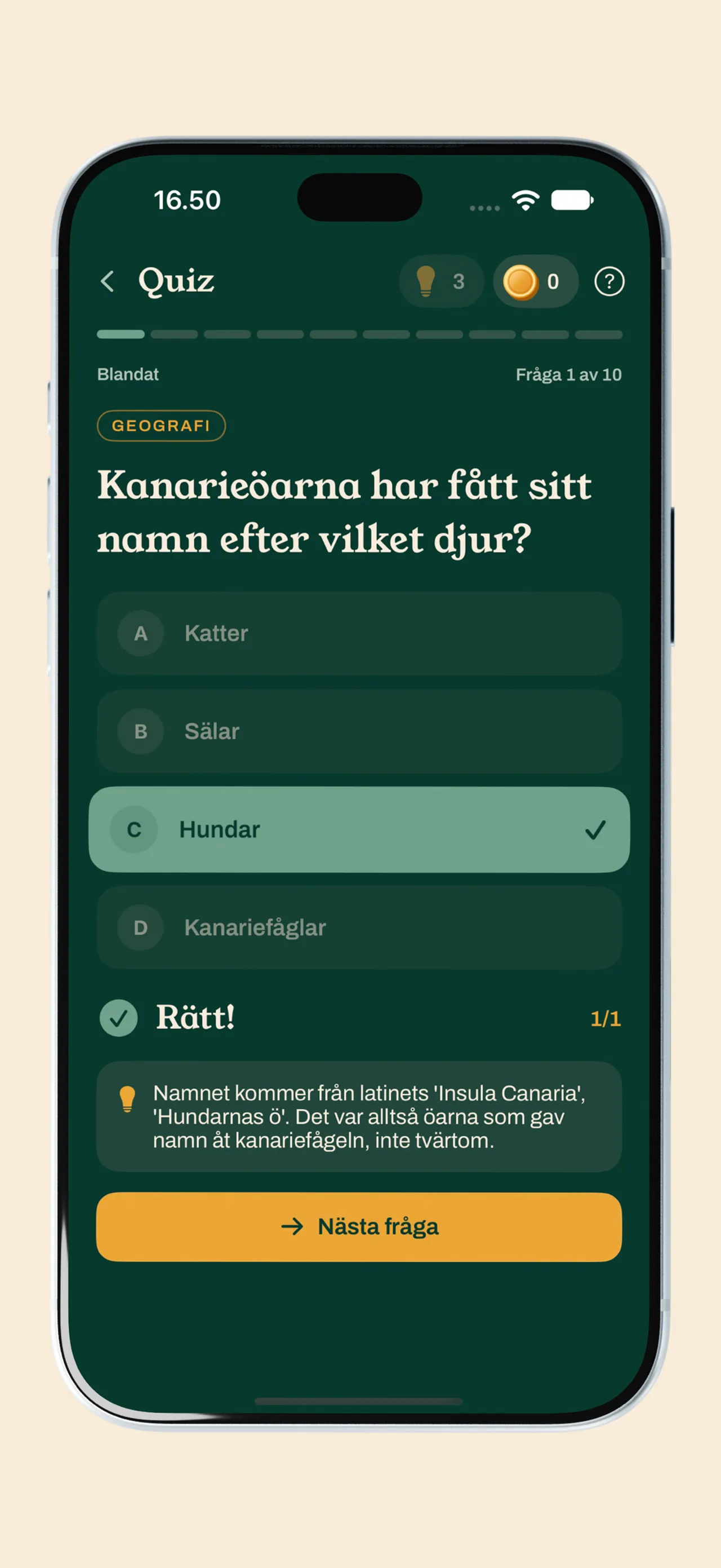 A Klur quiz question in Swedish about what animal the Canary Islands are named after, answered Hundar