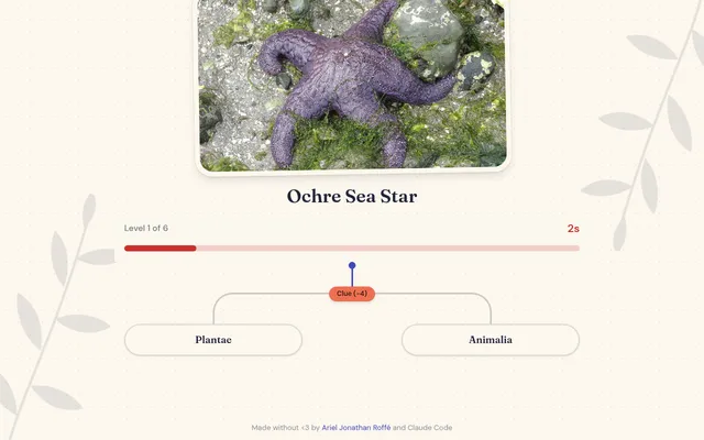 Linnaeus on 21 October 2026: a photo of the Ochre Sea Star above level 1 of 6, the ten-second timer bar, a Clue (-4) button and the fork Plantae or Animalia