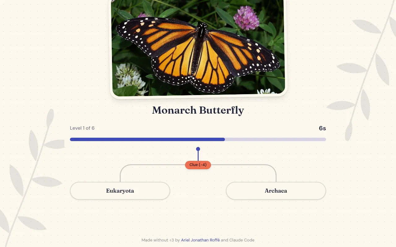 Linnaeus mid-game: a photo of a Monarch Butterfly above level 1 of 6, a ten-second timer bar and the first fork of the tree of life, Eukaryota or Archaea, with a clue button