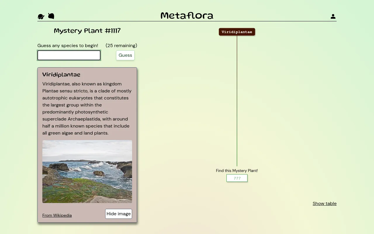 Metaflora Mystery Plant #1117 at the start: the guess box with 25 remaining, the Viridiplantae card with a photo of green algae, and the tree down to the hidden plant
