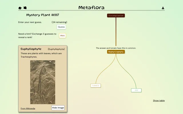 Metaflora Mystery Plant #1117 after one guess: tomato branches off at Euphyllophyta beside the hidden plant, with 24 guesses left, a Hint button and the rank's card