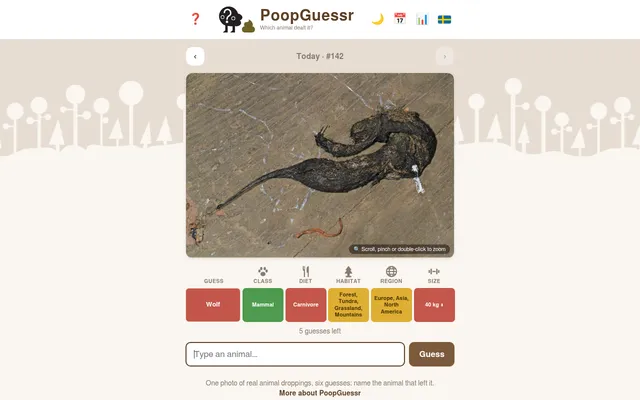 PoopGuessr day 142 on a desktop: a photo of dark twisted droppings on wood, with one guess, Wolf, and its class, diet, habitat, region and size clue cells