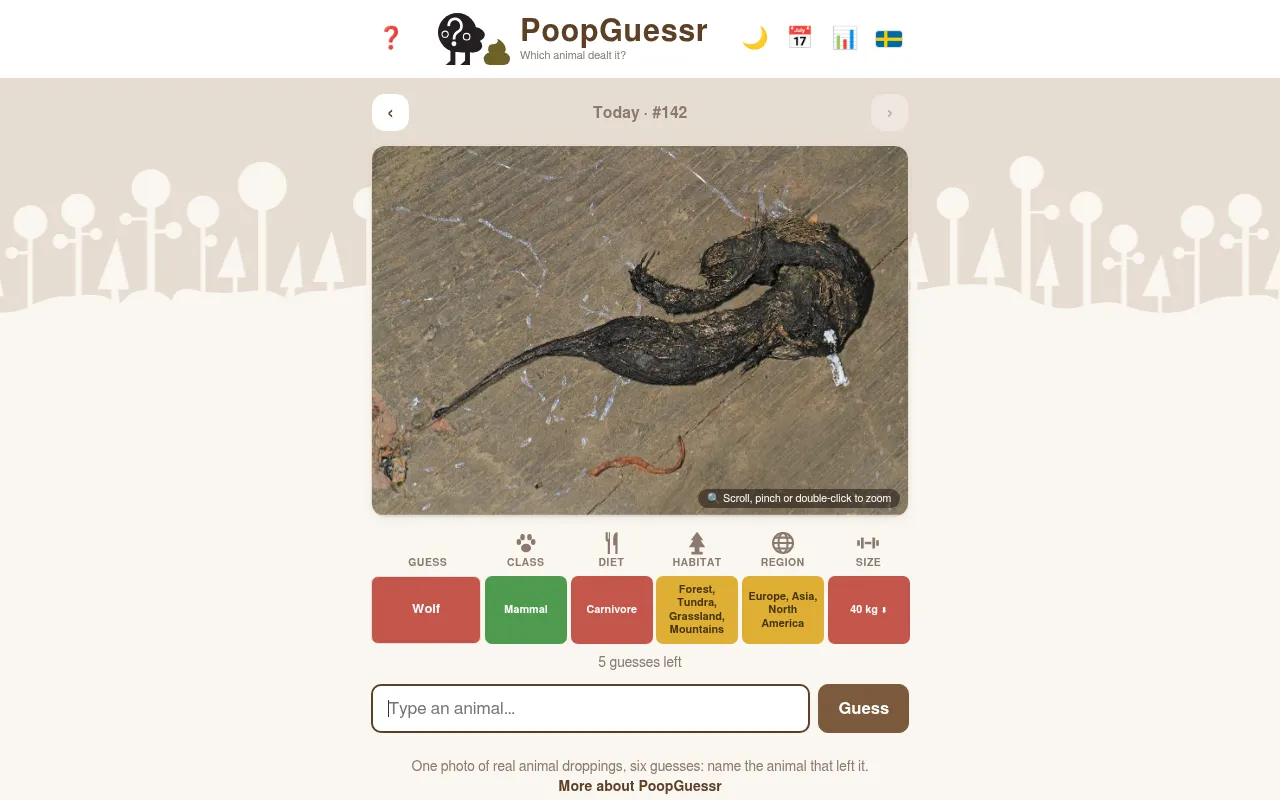 PoopGuessr day 142 on a desktop: a photo of dark twisted droppings on wood, with one guess, Wolf, and its class, diet, habitat, region and size clue cells