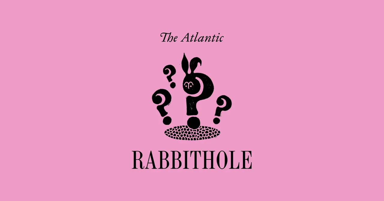Rabbithole share picture from The Atlantic Games