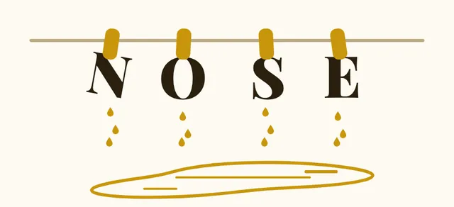 A Rebusly puzzle: the letters N O S E pegged on a clothes line, dripping into a puddle