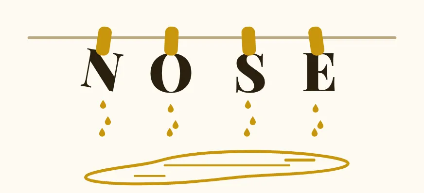 A Rebusly puzzle: the letters N O S E pegged on a clothes line, dripping into a puddle