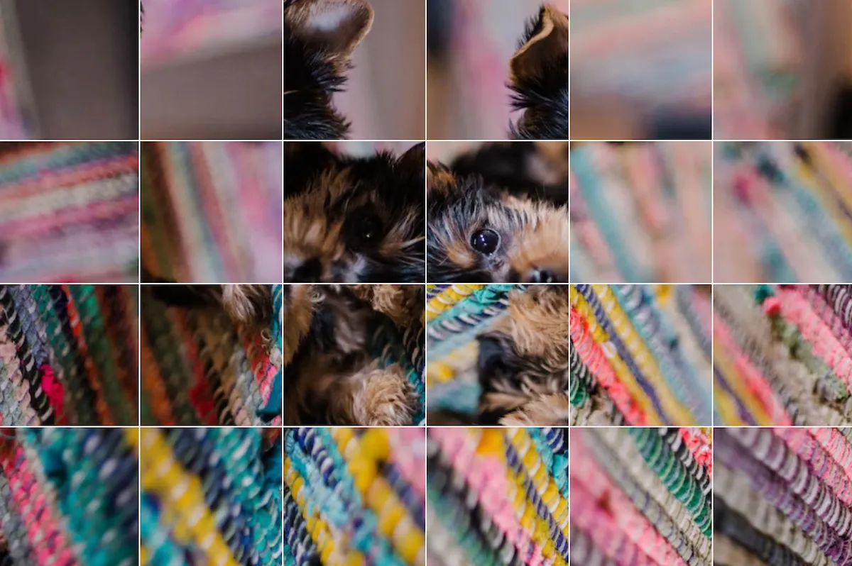 A Rotaboxes photo of a puppy on a striped rug, split into square tiles