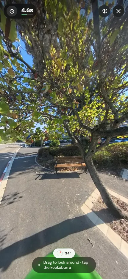 Street Peekaboo on a phone: today's Haifa street seen through a tree, the timer at the top and the hint to drag and tap the kookaburra