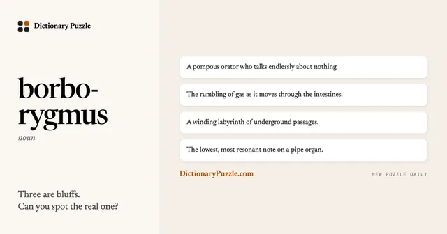 A Dictionary Puzzle card: the word borborygmus with four possible definitions