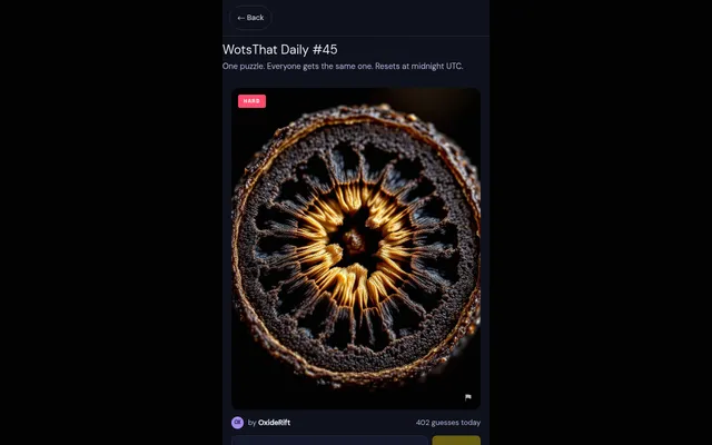 WotsThat Daily #45 revealed: an extreme close-up of a dark ringed object with golden fibres at its centre, marked Hard, with the guess box below